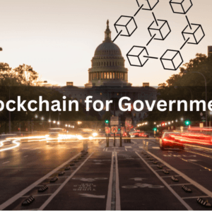 Blockchain for Government